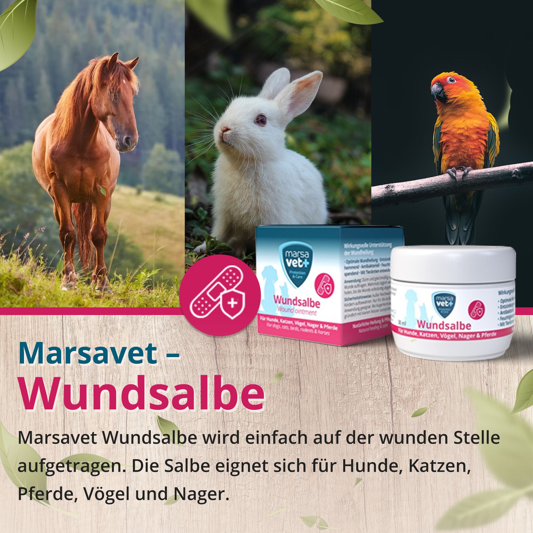 Medilife Eipulver Für Tierfutter – 1 Kg, 65% Rohprotein, Für Hunde, Katzen, Vögel & Mehr