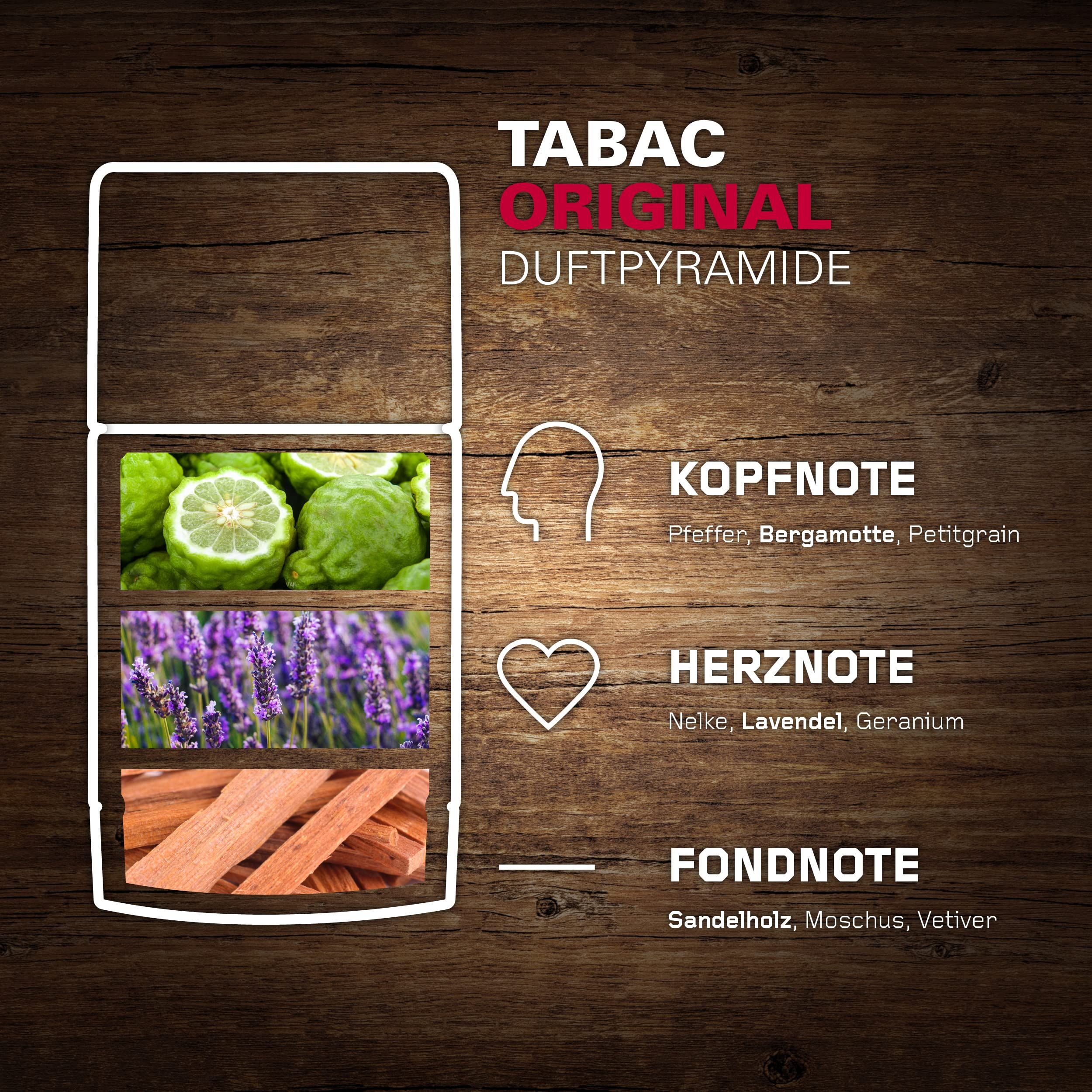 Grafik zur Duftpyramide von Tabac Original. Kopf-, Herz- und Fondnote mit Illustrationen und Text.