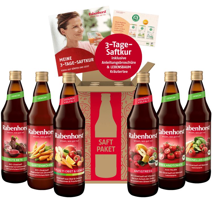 Rabenhorst 3-Tage-Saftkur. Sechs Flaschen Saft, Karton mit Broschüre. Aufschrift: 3-Tage-Saftkur, Saft Paket, Gemüse, Obst.