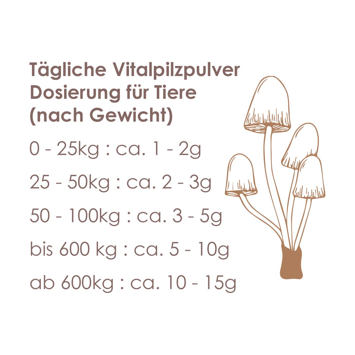 Pilze Wohlrab - BIO Polyporus Pulver für Tiere