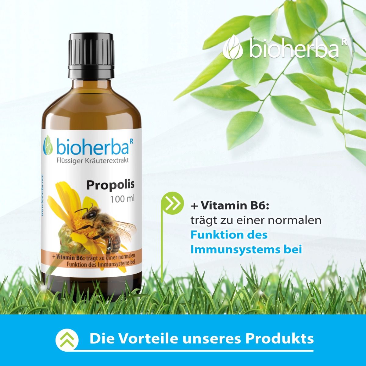 Bioherba Propolis Tropfen Tinktur