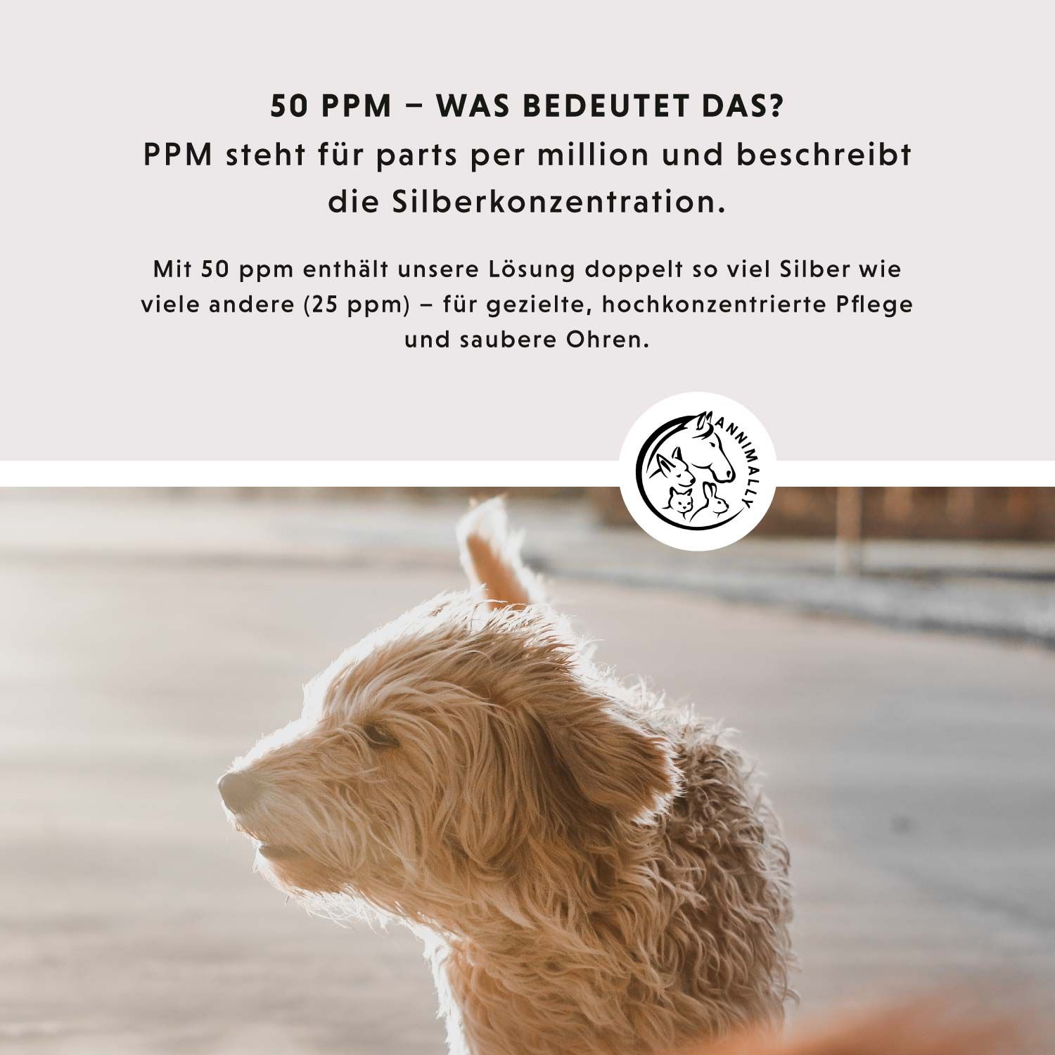 Annimally Ohrenpflege mit kolloidalem Silber 50 ppm