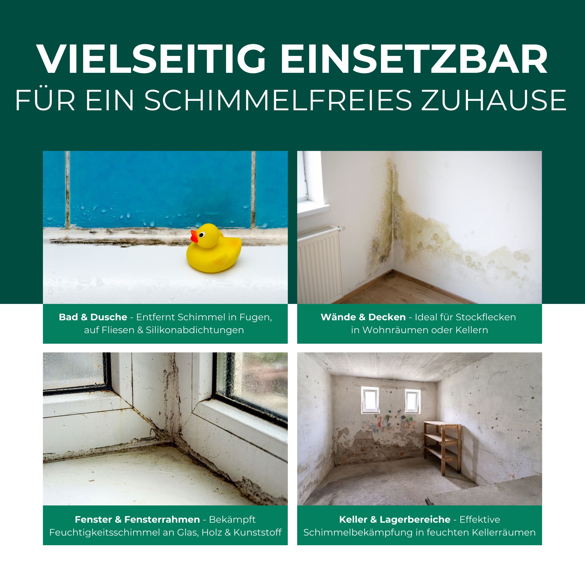 Vier Bilder zeigen verschiedene Anwendungsbereiche: Bad, Wände, Fenster und Keller. Alle Bereiche weisen Schimmelbefall auf.
