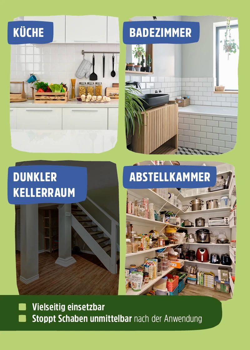Grafik mit vier Bildern: Küche, Badezimmer, dunkler Kellerraum, Abstellkammer. Text: Vielseitig einsetzbar, stoppt Schaben.