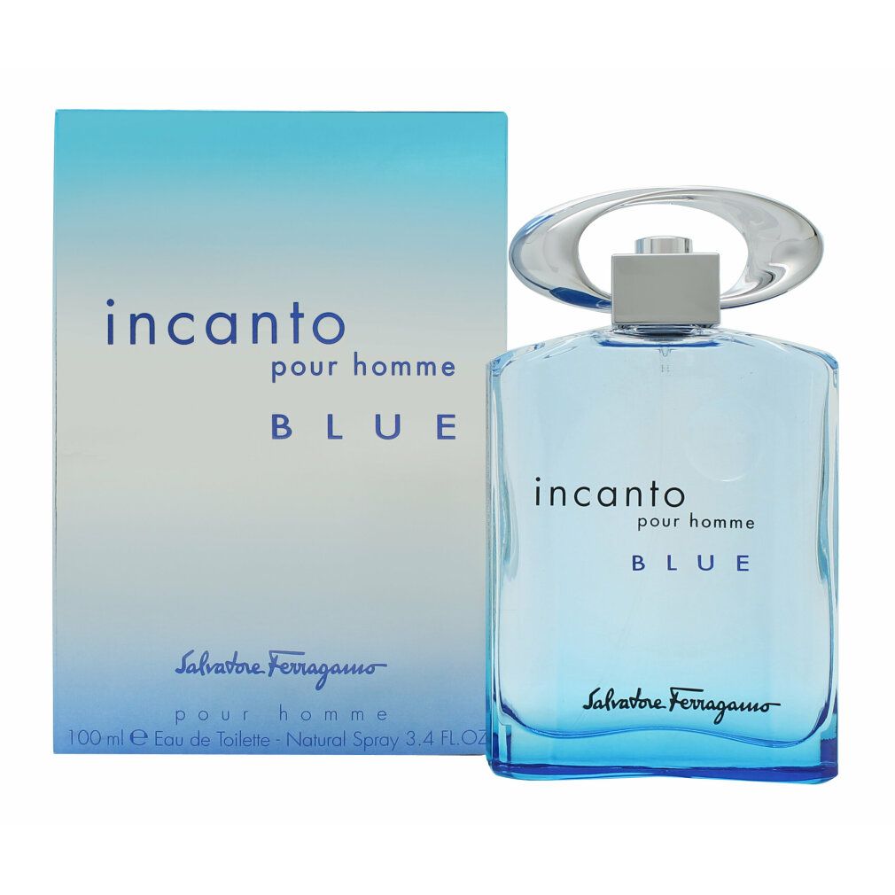 Salvatore Ferragamo Incanto Pour Homme Blue edt  Spray