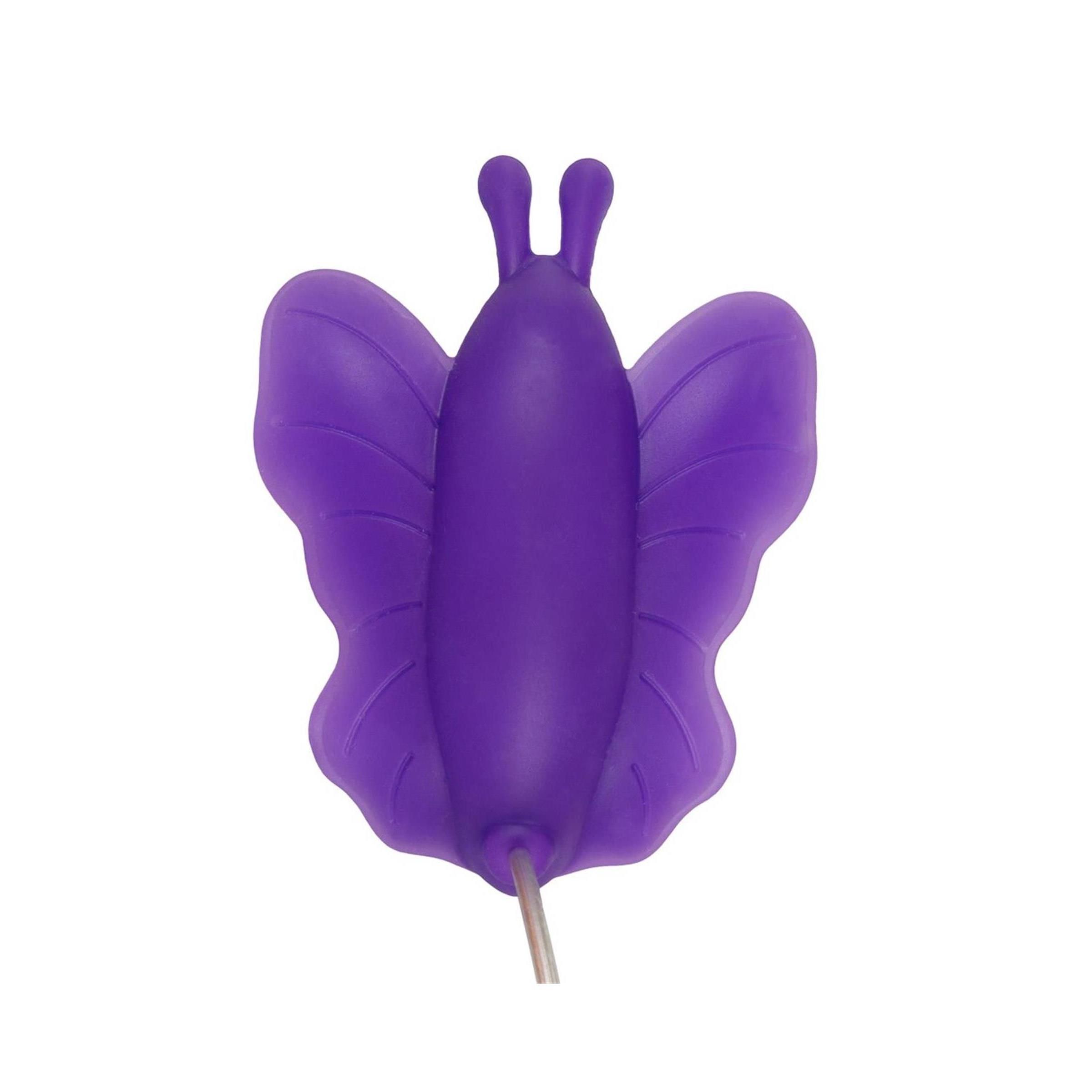 Seven Creations - Flutter Butterfly