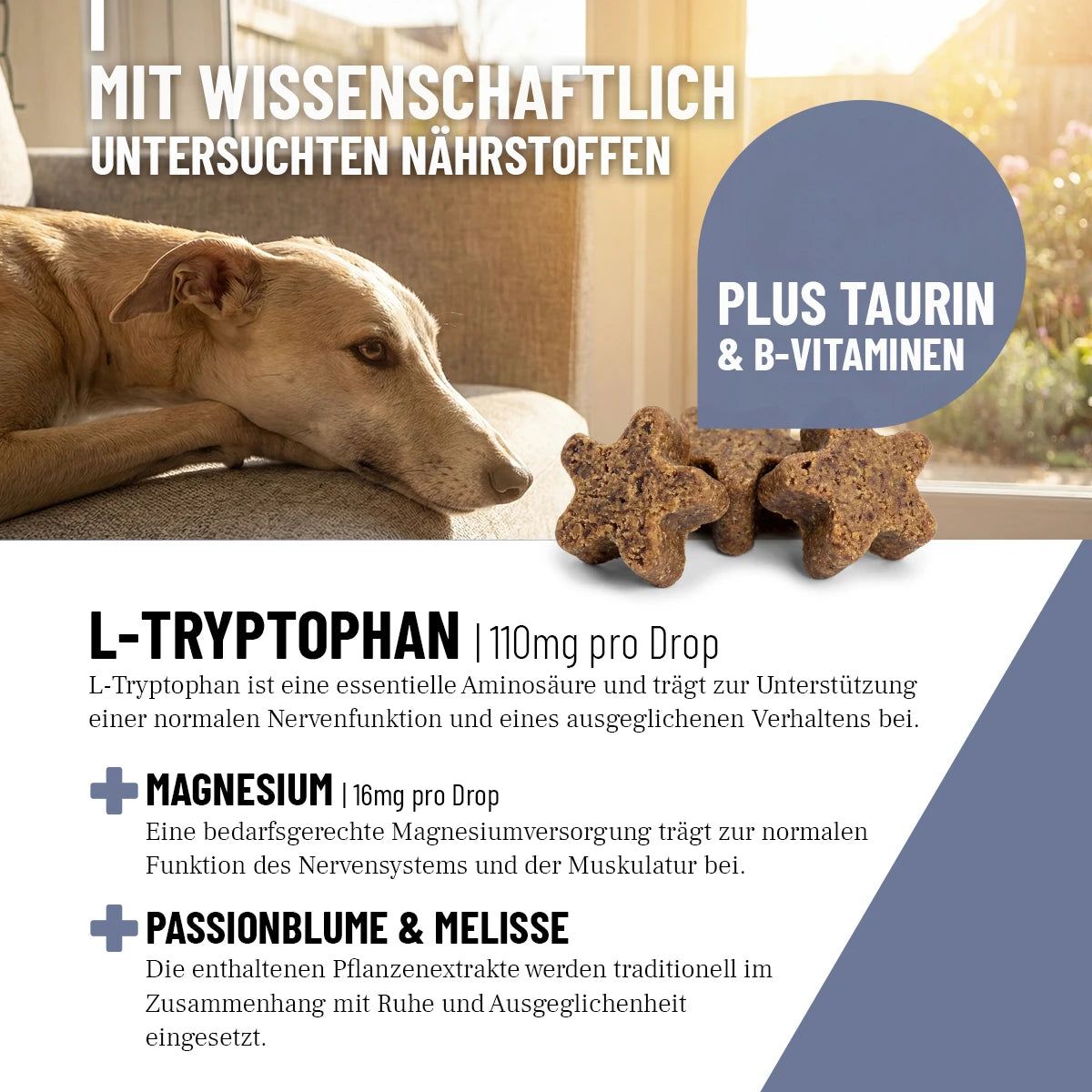 Hund neben Leckerlis. Text: Mit wissenschaftlich untersuchten Nährstoffen. Plus Taurin & B-Vitamine. L-Tryptophan, Magnesium, Passionsblume & Melisse.