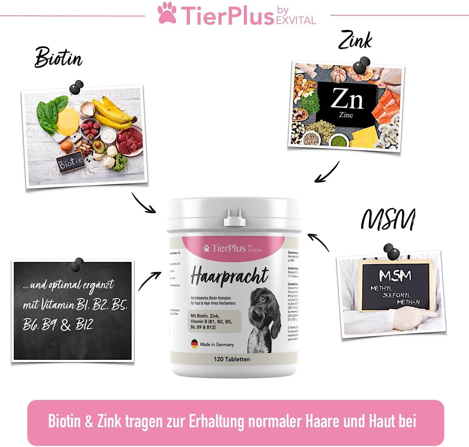 Dose mit TierPlus Haarpracht Tabletten, umgeben von Tafeln mit Biotin, Zink und MSM.
