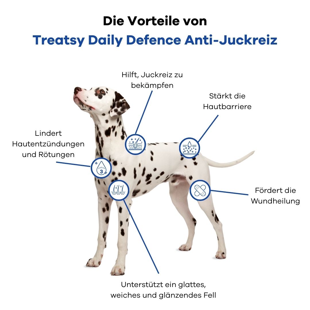 Dalmatiner-Hund mit Infografik. Zeigt Vorteile von Treatsy Daily Defence: Haut, Fell, Entzündungen, Wundheilung.