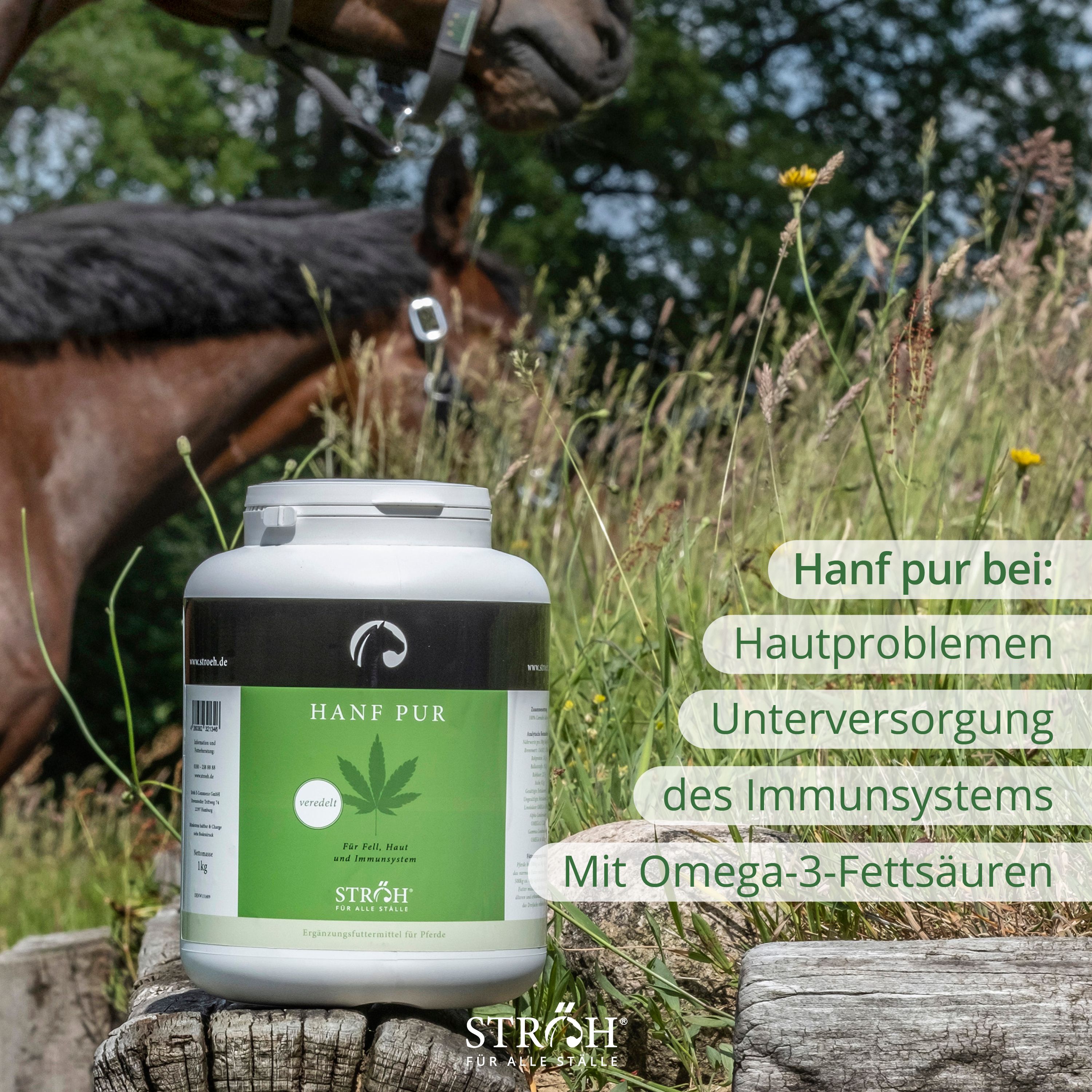 Pferd neben Gefäß HANF PUR. Text: Hanf pur bei: Hautproblemen, Unterversorgung, Immunsystem. Mit Omega-3-Fettsäuren. Marke STRÖH.
