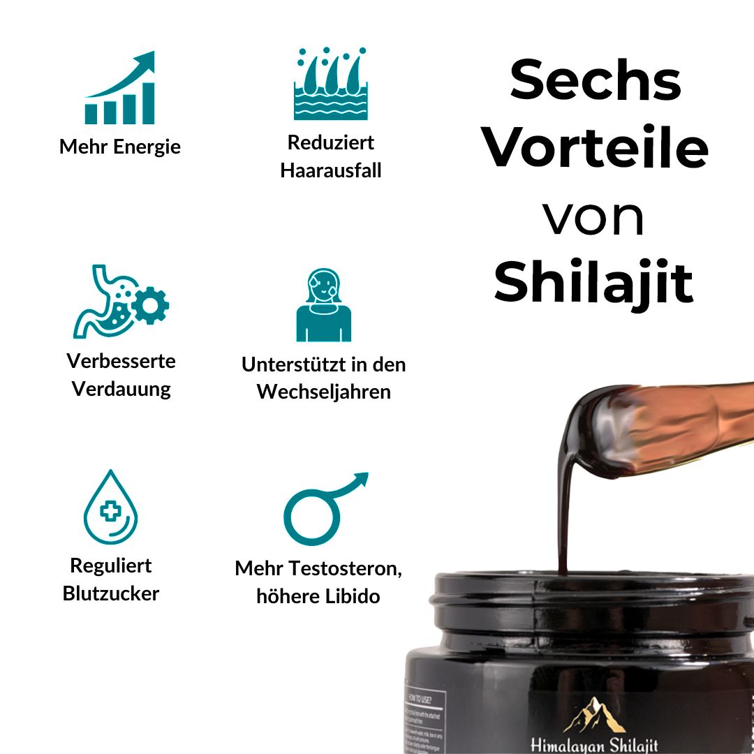 Grafik mit sechs Vorteilen von Shilajit. Symbole und Text in deutscher Sprache.