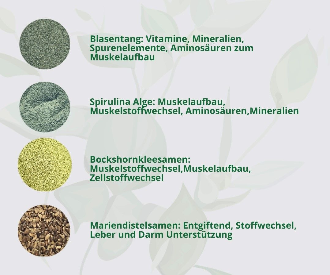 Hand aufs Pferd/Hund Muskel Kräuter Kraftprotz
