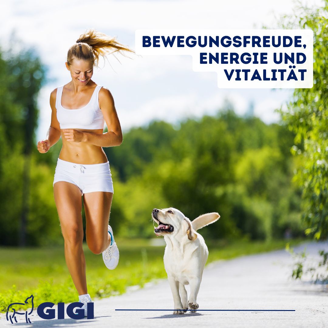 Frau joggt mit Hund auf Weg. Text: 'Bewegungsfreude, Energie und Vitalität'. GIGI-Logo unten links.