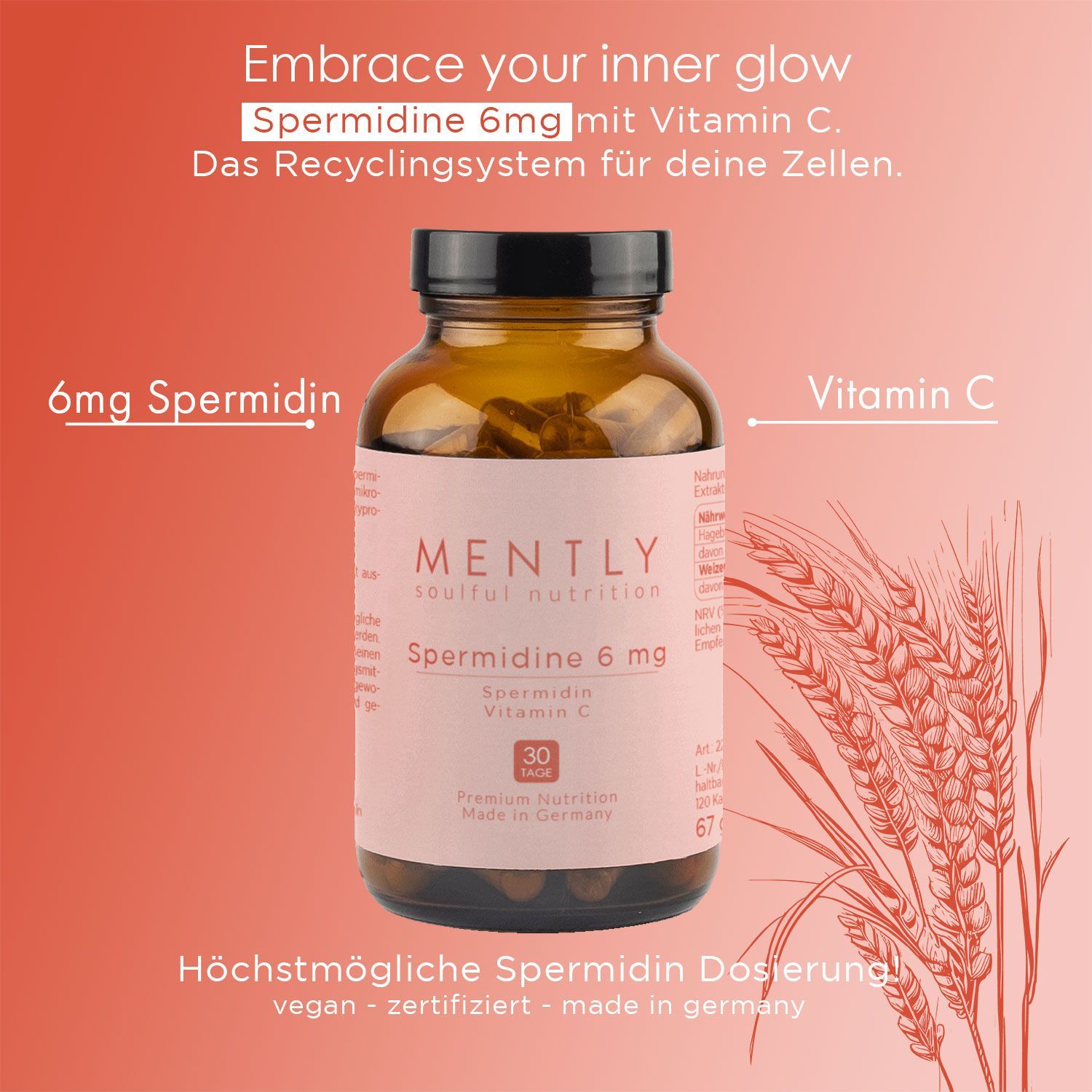 Braune Glasflasche mit rosa Etikett. Aufschrift: MENTLY Spermidine 6mg, 30 Kapseln. Text: vegan, zertifiziert.