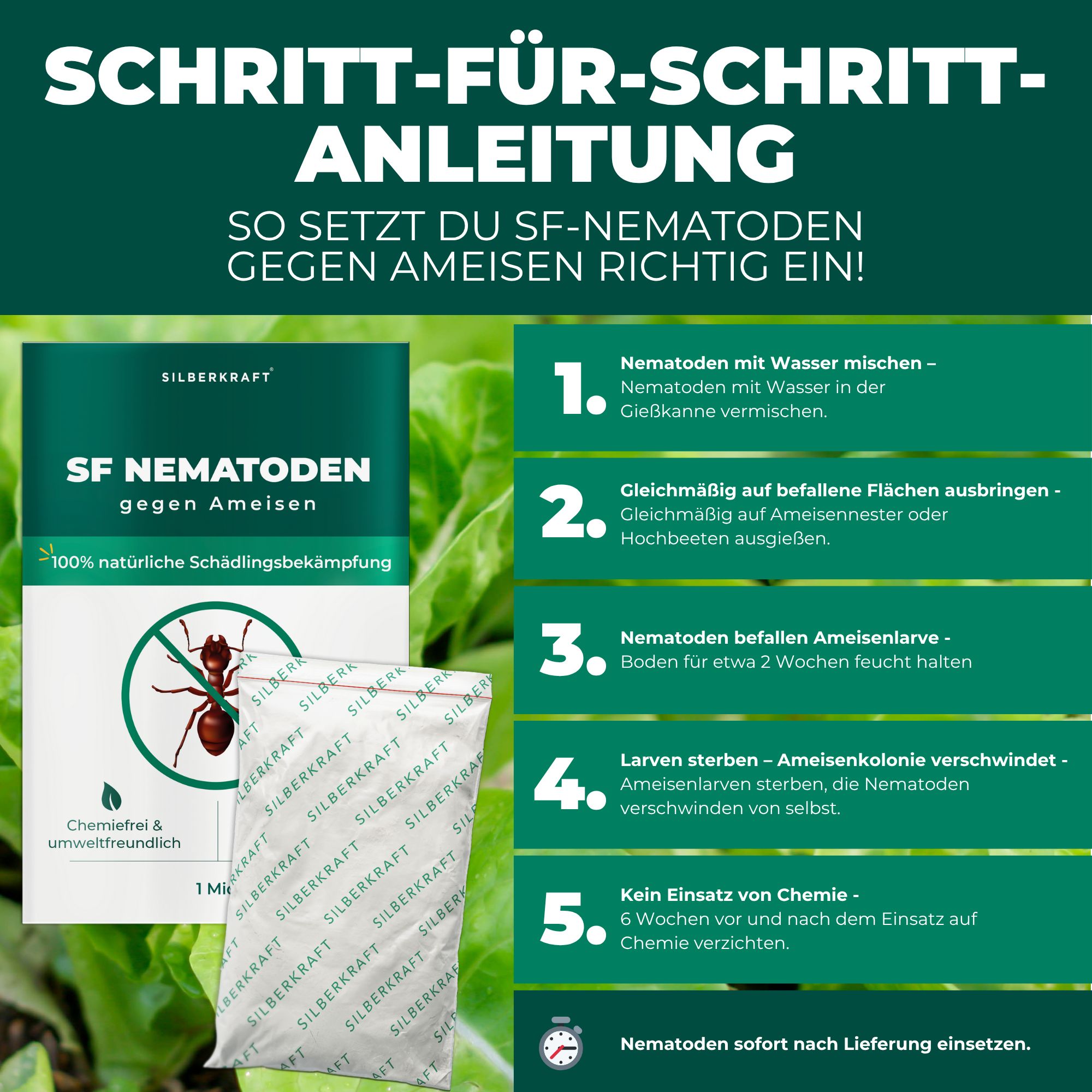 SILBERKRAFT SF Nematoden gegen Ameisen 2.5 Mio