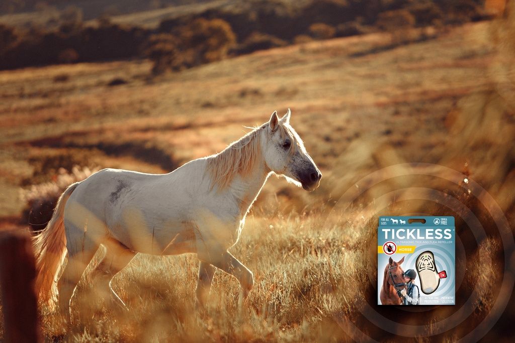 Ein weißes Pferd auf einer Wiese. Im Hintergrund die Verpackung von TICKLESS Pferden.