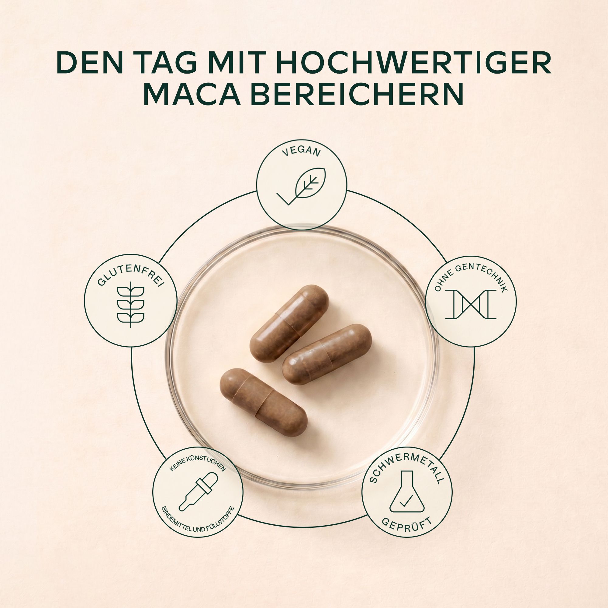 Flasche mit Maca-Kapseln, Nährwerttabelle mit Mengen und Inhaltsstoffen.