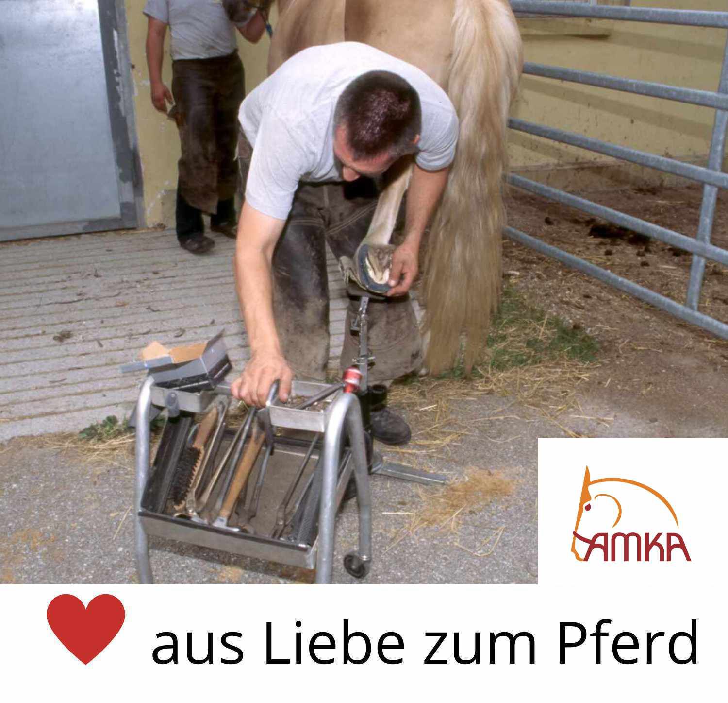 AMKA Hufmesser rechts einschneidig mit Holzgriff