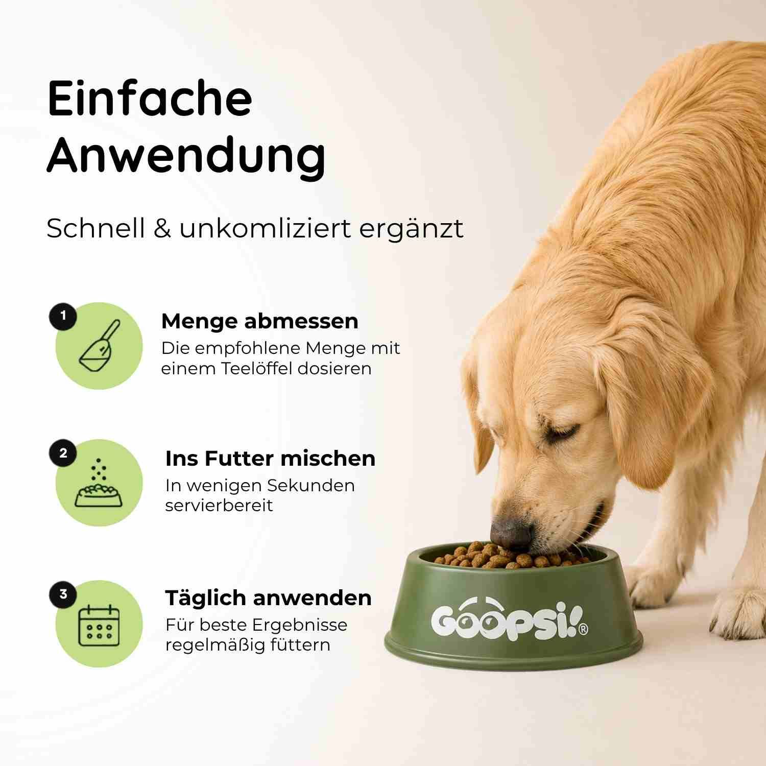 Goldener Retriever, "Natürliche Pflege für Haut & Fell" steht oben. Pflegt von innen.
