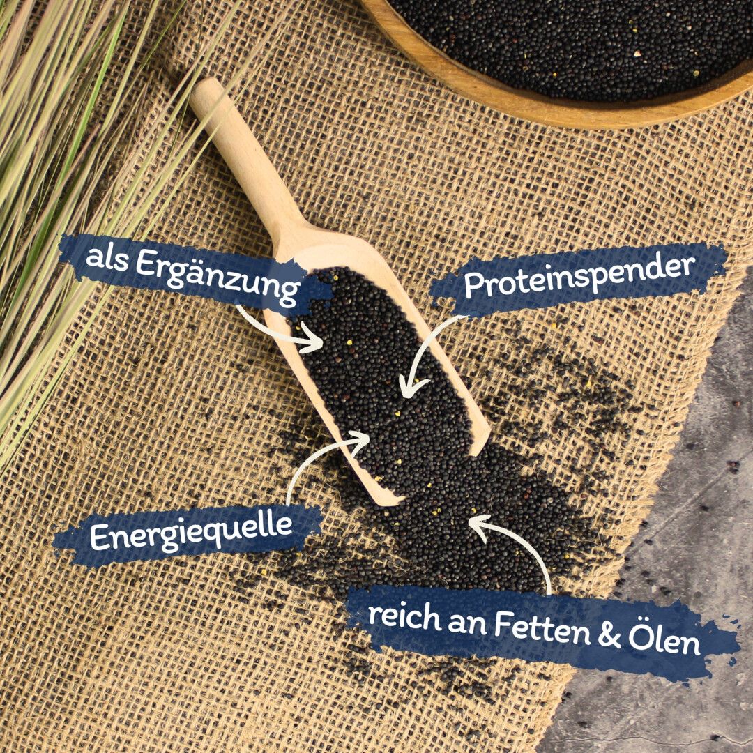 Schwarze Samen in Holzschaufel. Text: Energiequelle, Proteinspender, reich an Fetten & Ölen, als Ergänzung.