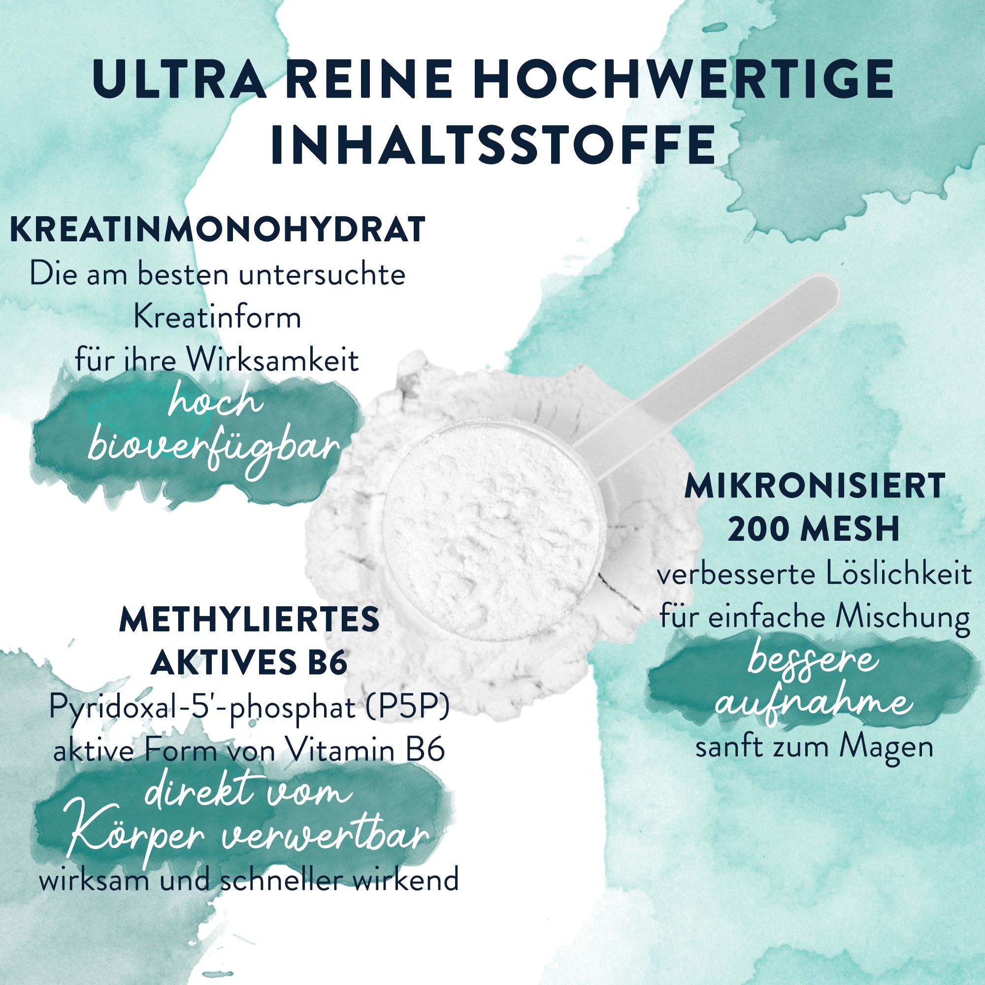 Werbebild. Dose mit Kreatin, Text und Flaggen. Sprachen: Englisch, Spanisch, Italienisch, Schwedisch, Polnisch, Deutsch, Niederländisch.