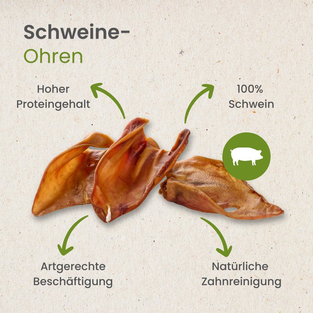 Drei getrocknete Schweineohren mit Hinweisen zu Protein und natürlicher Zahnreinigung.