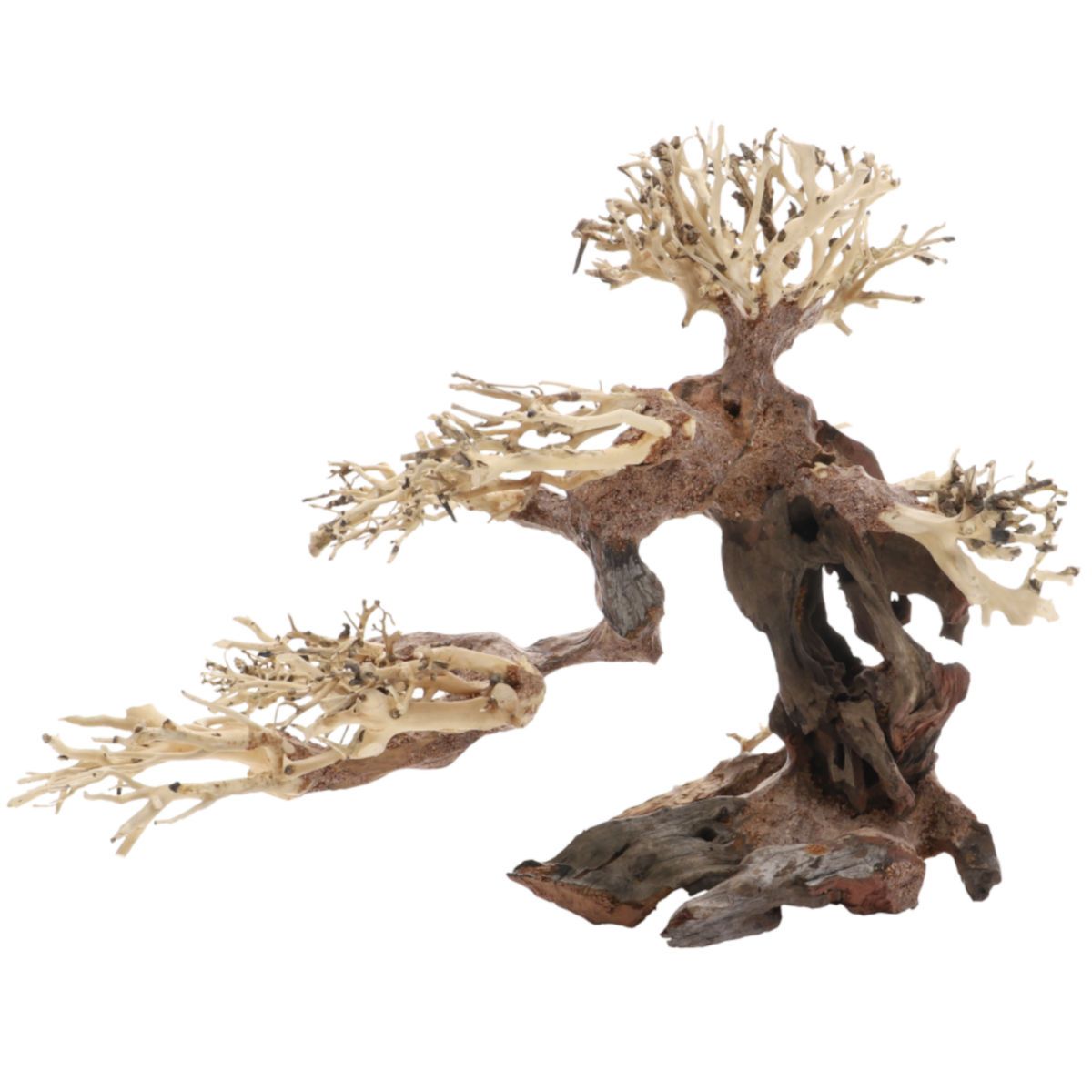 Aquarien-Dekoration, handgefertigter Bonsai-Baum aus Holz. Natürliche Farben: Braun und Beige. Astförmige Struktur.