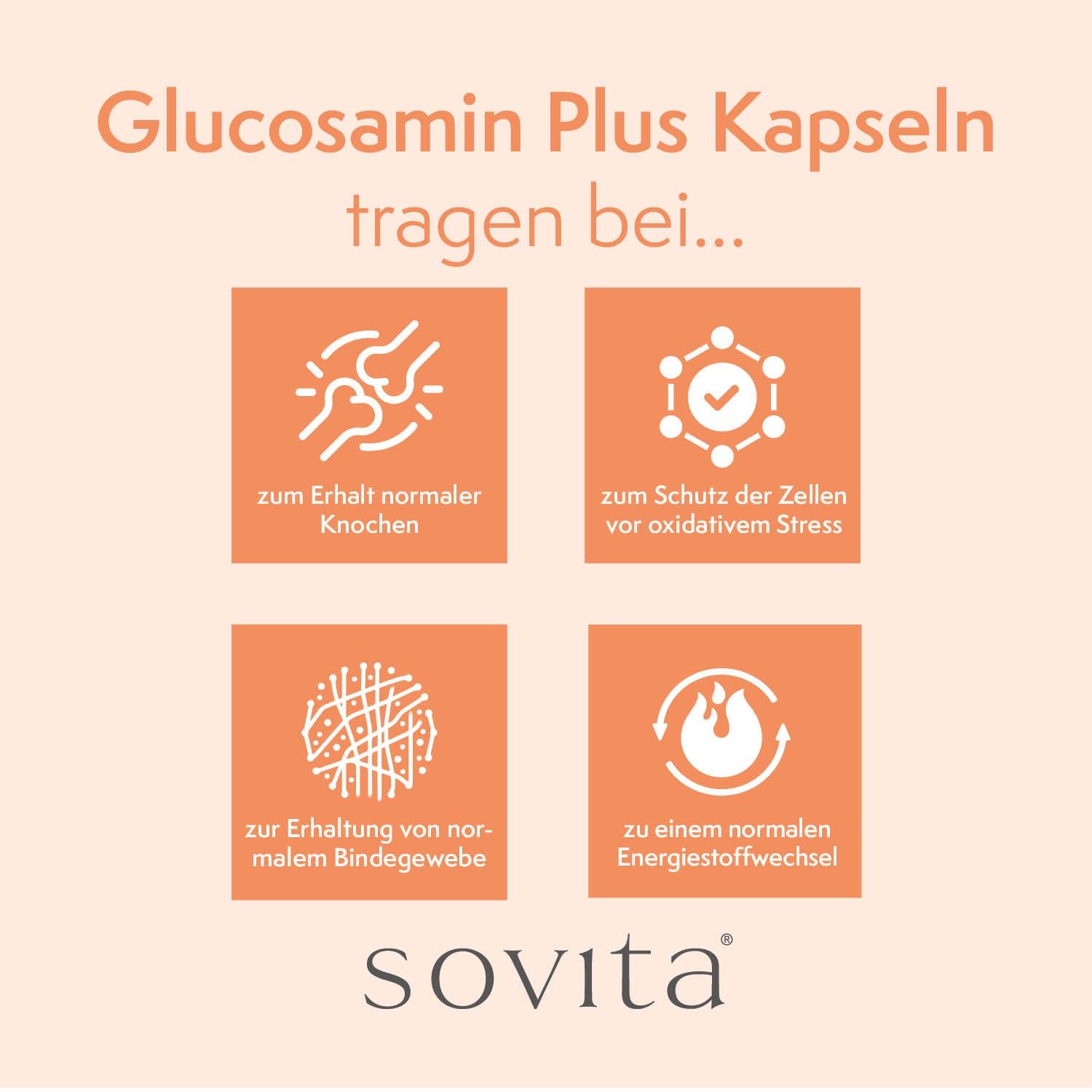 Vier orangefarbene Quadrate mit Icons und Text: Knochen, Zellen, Bindegewebe, Energiestoffwechsel. Logo: sovita.