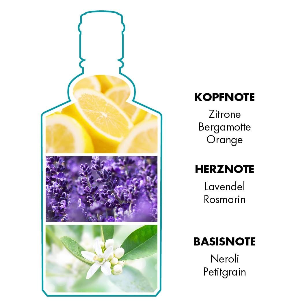 Rappresentazione grafica delle note olfattive. Limone, bergamotto, arancia, lavanda, rosmarino, neroli, petitgrain.