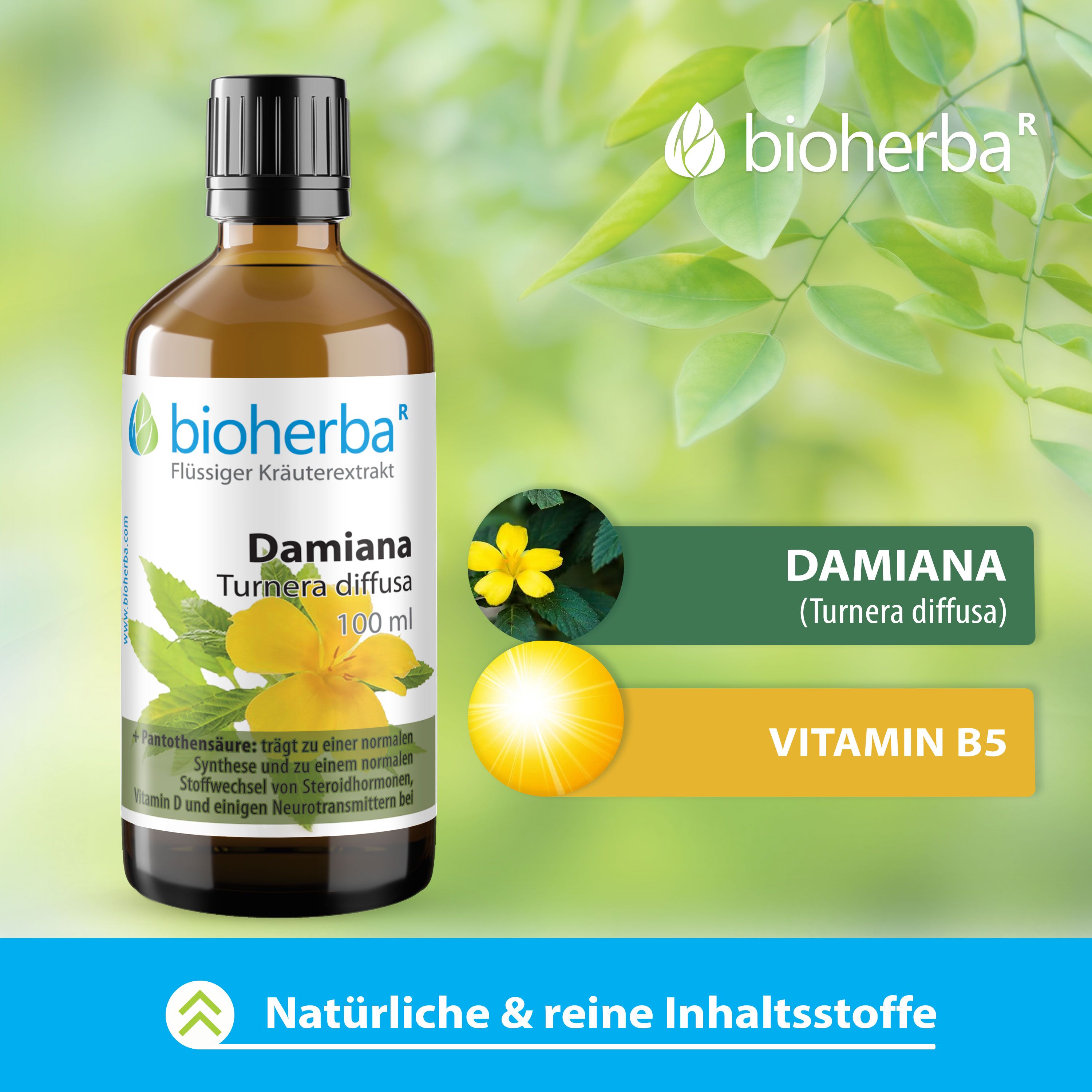 Bioherba Damiana Turnera diffusa Tropfen Tinktur