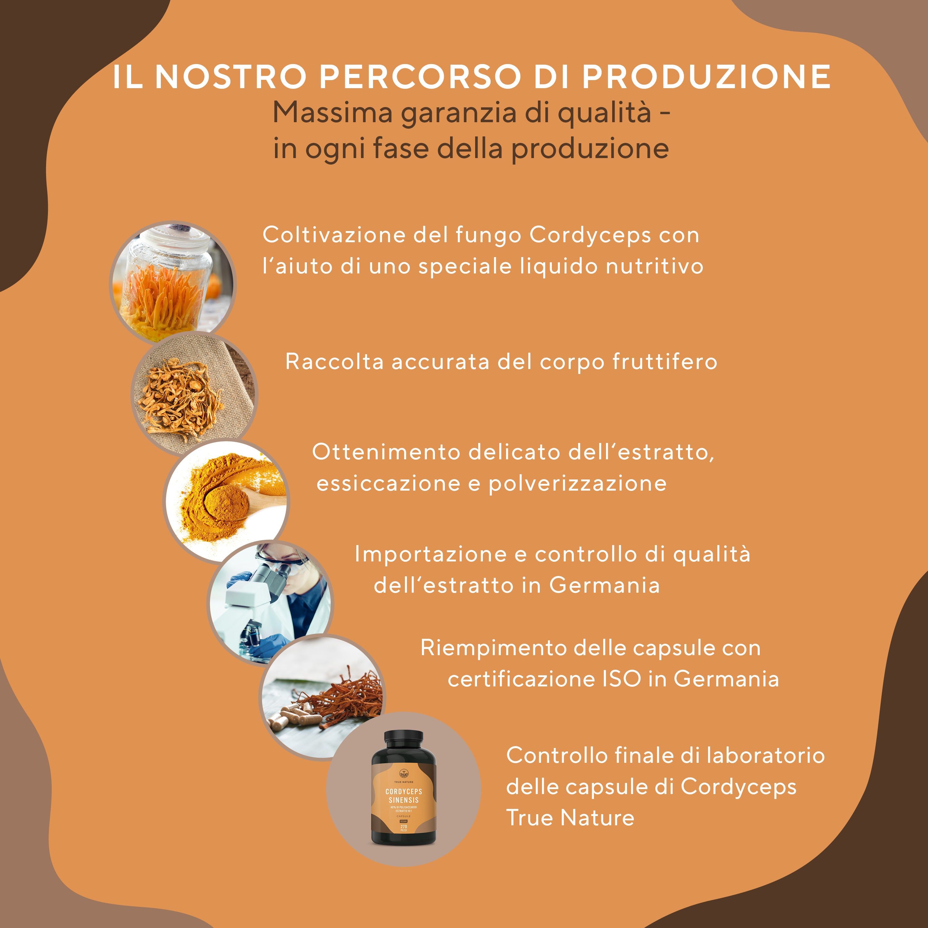 Grafica con processo produttivo. Coltivazione, raccolta, estrazione, importazione, riempimento, controllo qualità. Flacone.