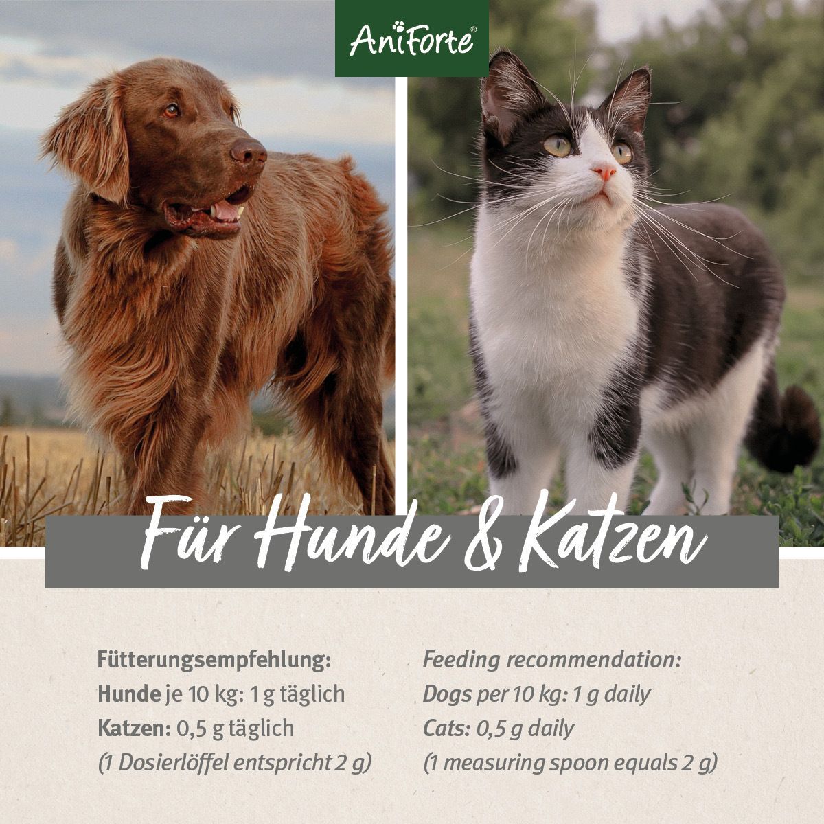 Zwei Haustiere, ein Hund und eine Katze, mit dem Logo AniForte und Fütterungsempfehlungen.