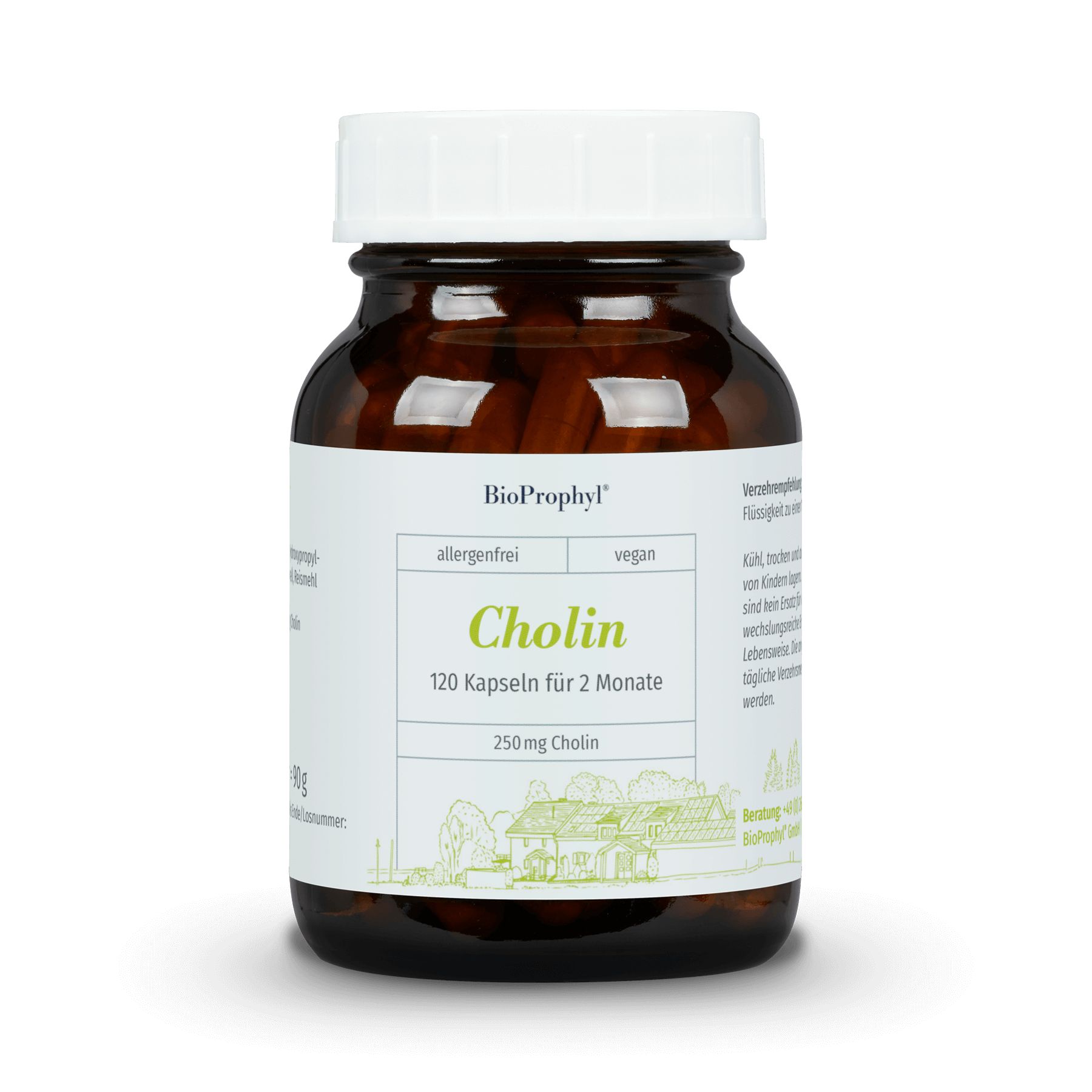 Braune Glasflasche mit weißem Deckel. Etikett mit "BioProphyl Cholin", "120 Kapseln für 2 Monate" und "250mg Cholin".
