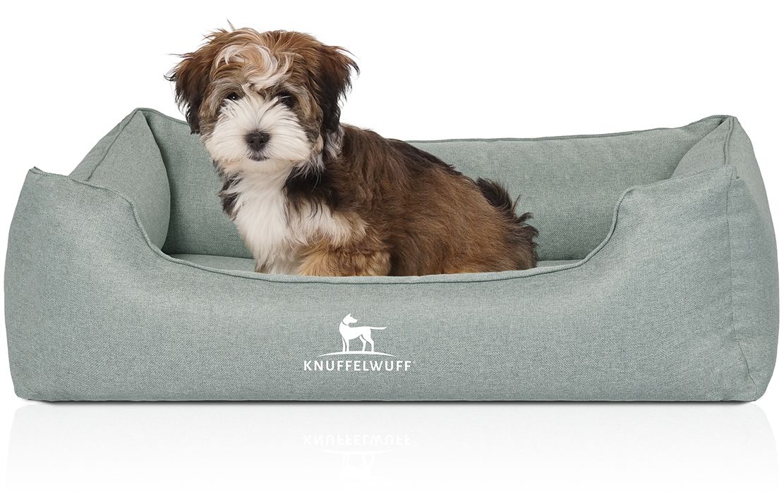Hellgraues orthopädisches Hundebett Luisa. Ein kleiner Hund sitzt im Bett. Weißes Logo "Knuffelwuff" vorne.