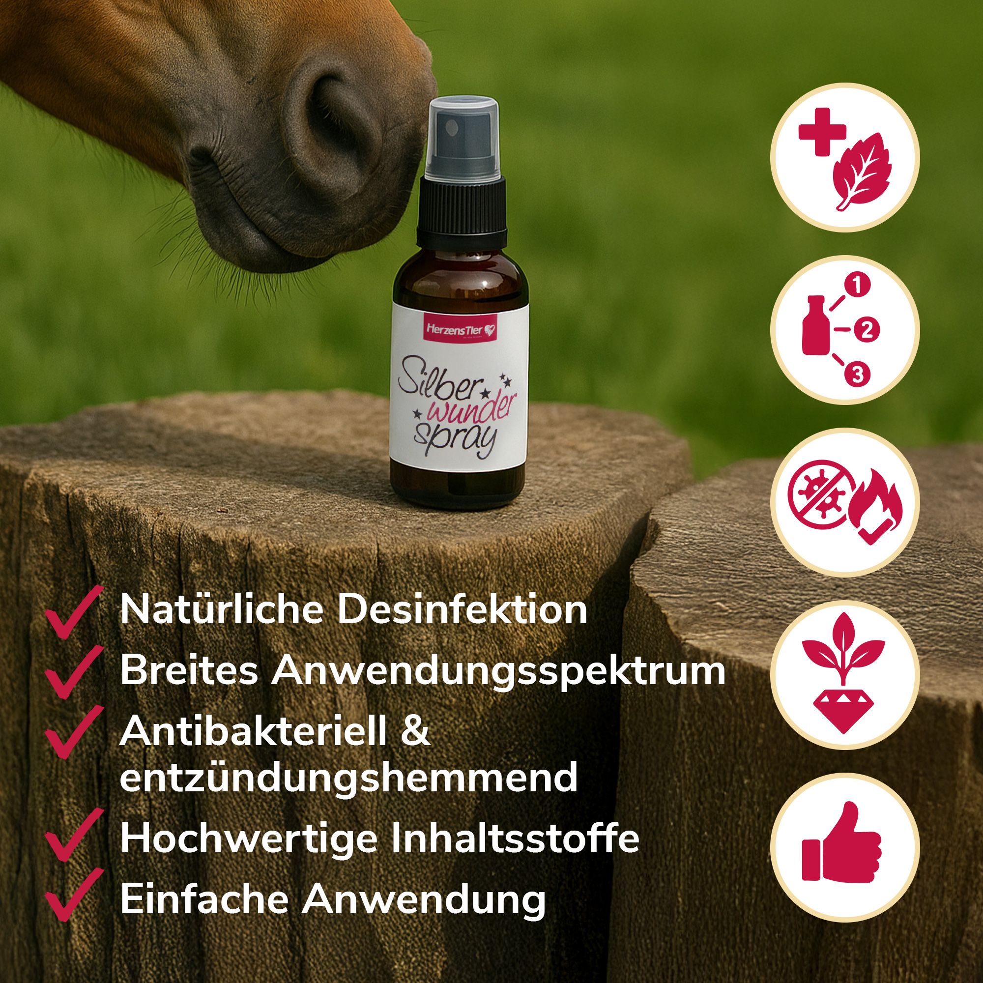 HerzensTier Silberwunderspray für Hund, Katze und Pferd