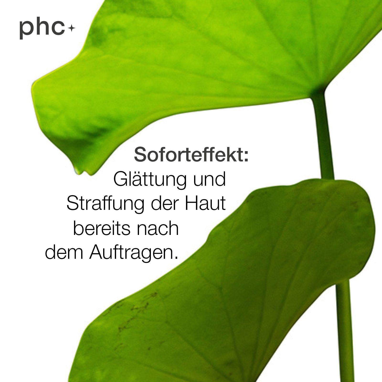 Zwei grüne Blätter. Text: "Soforteffekt: Glättung und Straffung der Haut bereits nach dem Auftragen."