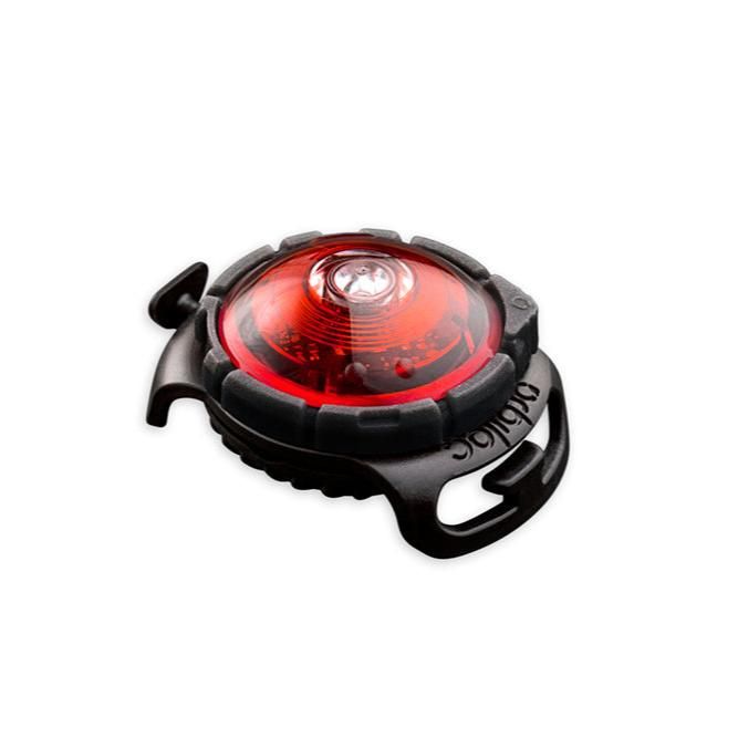 Orbiloc Sicherheitslicht Dog Dual Red