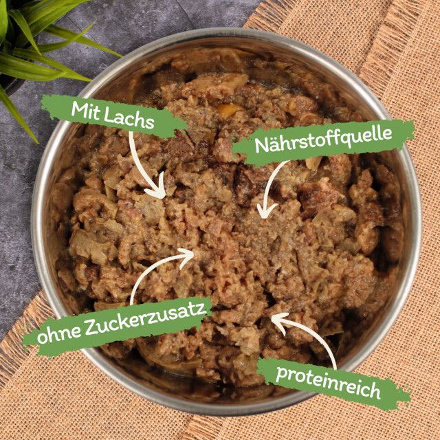 Katzenfutter in einer Edelstahlschüssel. Beschriftungen: "Mit Lachs", "Nährstoffquelle", "ohne Zuckerzusatz", "proteinreich".
