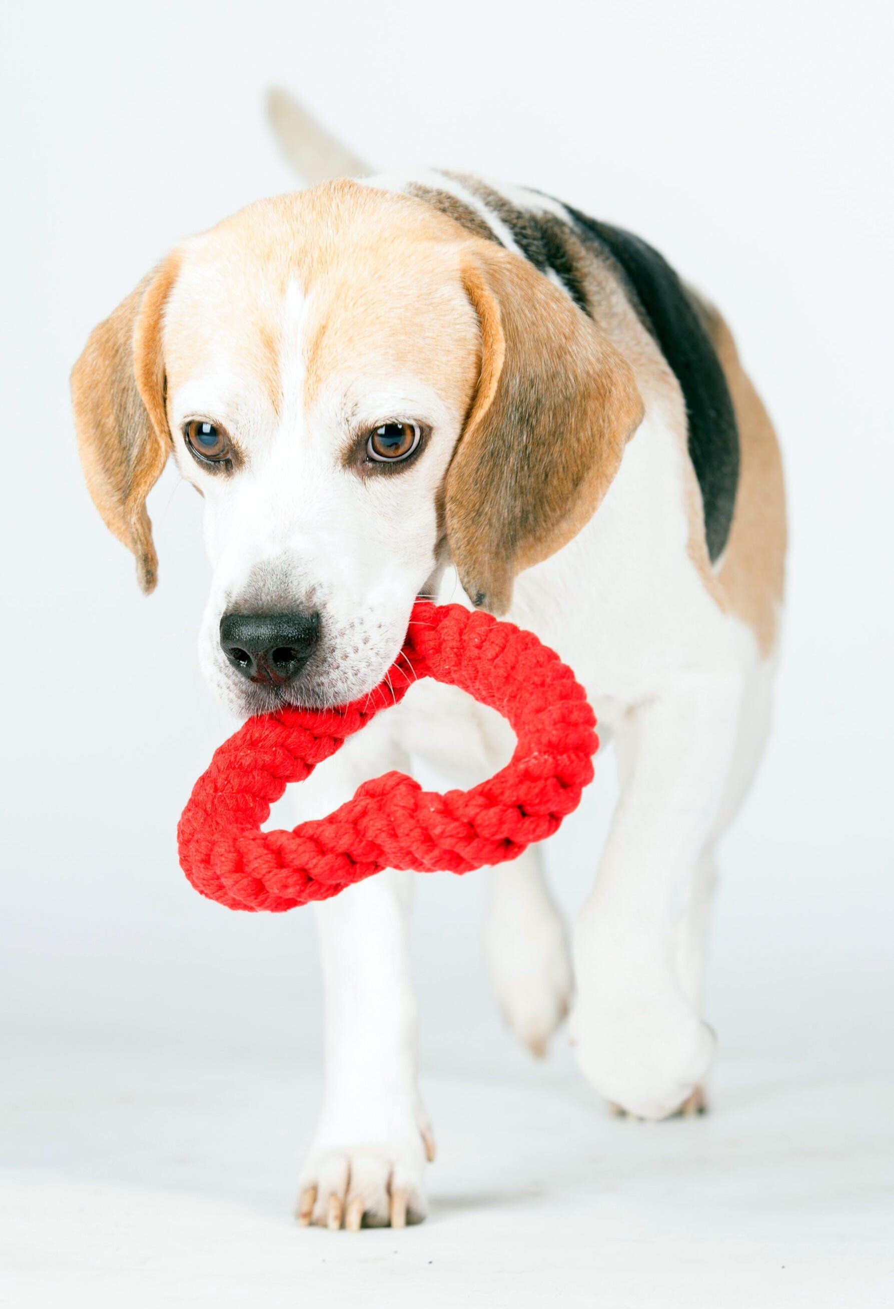 Hundespielzeug Hertha Heart - Laboni