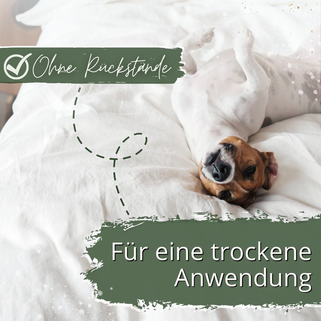Hund liegt auf Bettwäsche. Text: Für eine trockene Anwendung. Logo: Häkchen. Hintergrund: Bett.