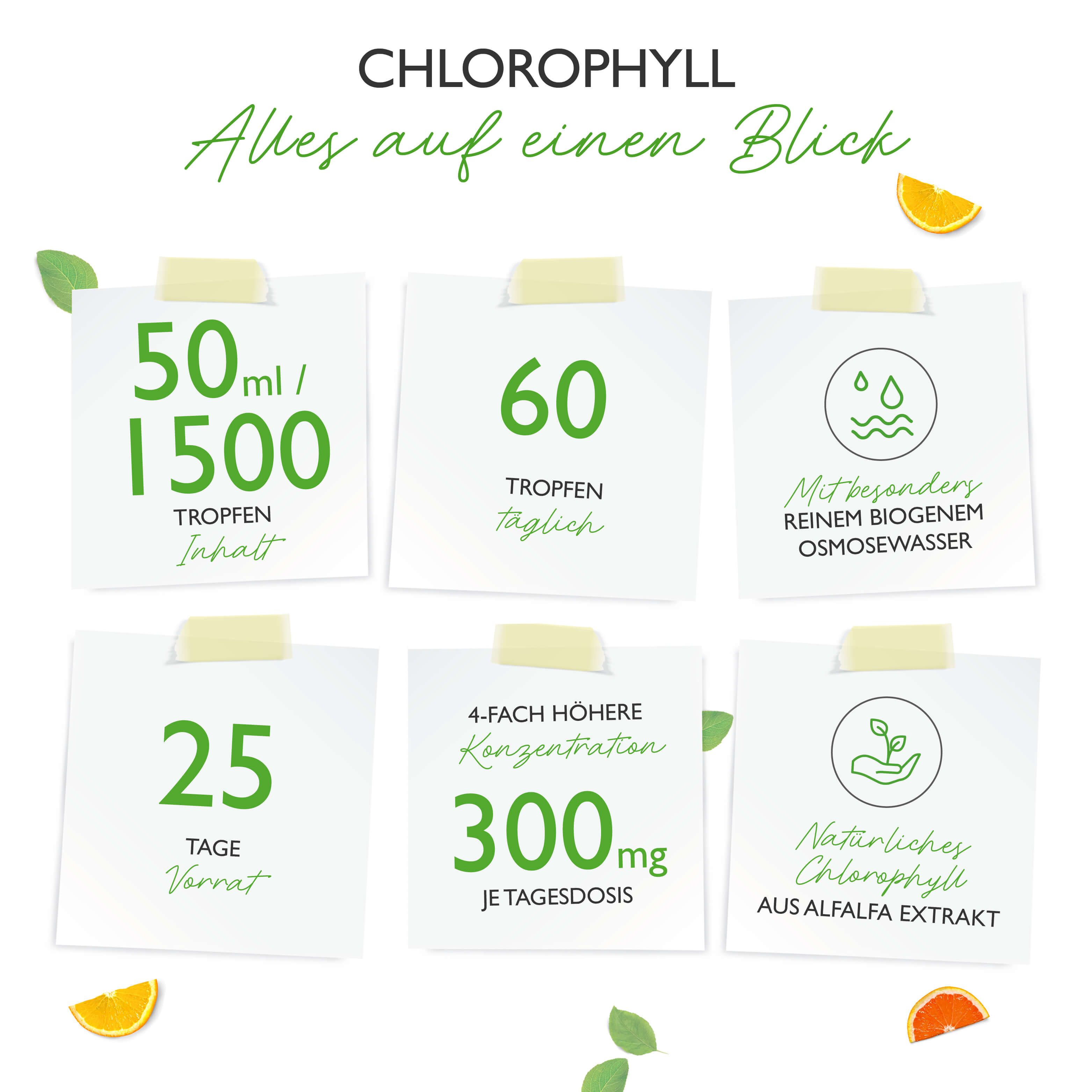 vit4ever Chlorophyll 50 ml Tropfen