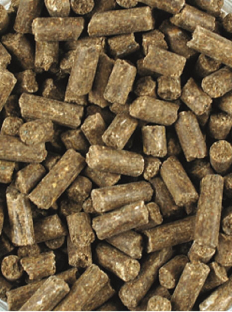 Nahaufnahme von braunen, zylindrischen Pellets. Textur und Form sind deutlich erkennbar.