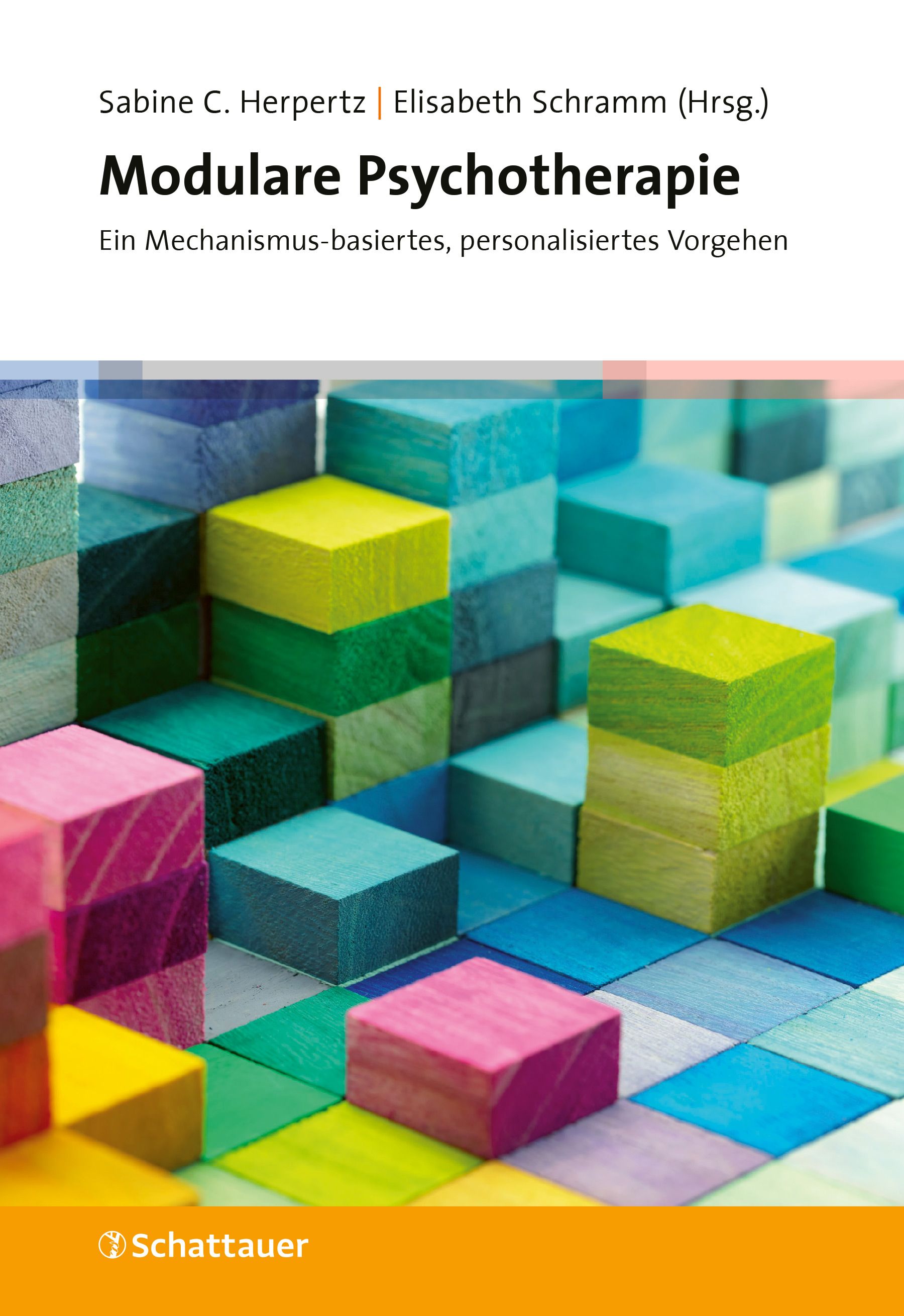 Buchcover: Modulare Psychotherapie. Titel und Autoren. Bunte Holzblöcke in verschiedenen Farben und Anordnung.