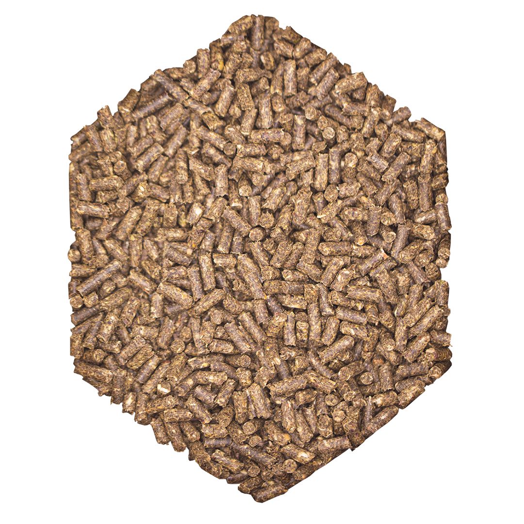 Hexagonale Anordnung von braunen Pellets. Tierfutter-Pellets, Nahaufnahme, isoliert auf weißem Hintergrund.