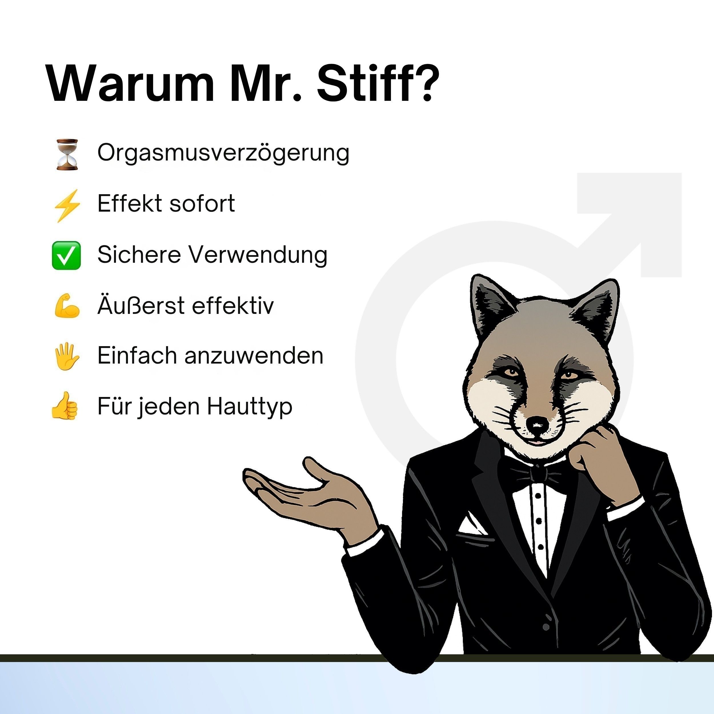 Mr. Stiff Delay Spray for Men