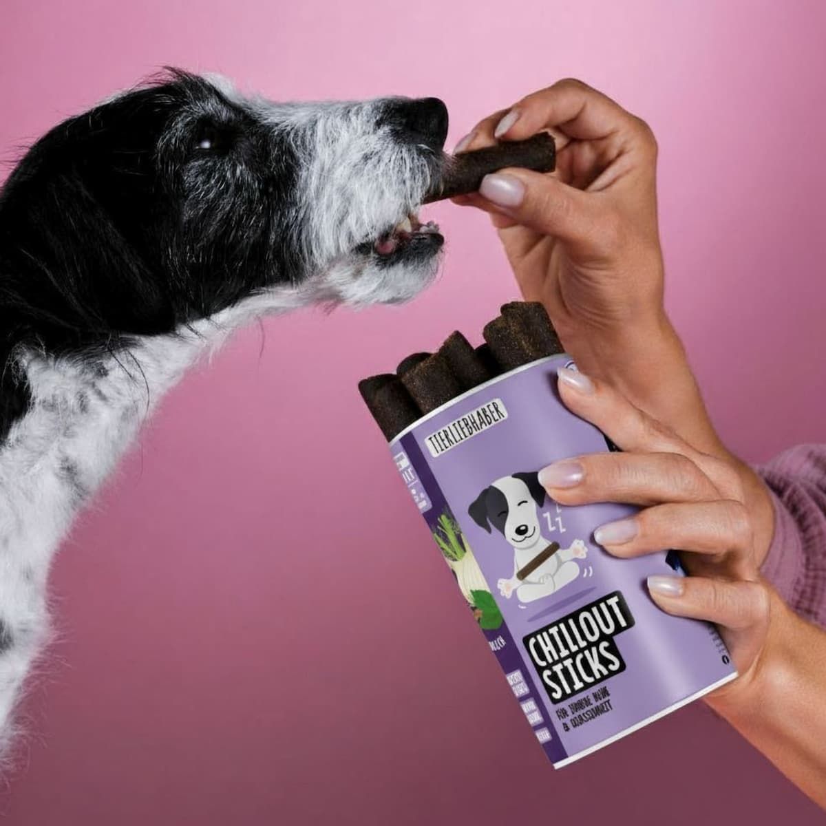 Hund frisst Chillout Stick aus einer Packung. Hände halten die Packung. Auf der Packung: "TIERLIEBHABER CHILLOUT STICKS".