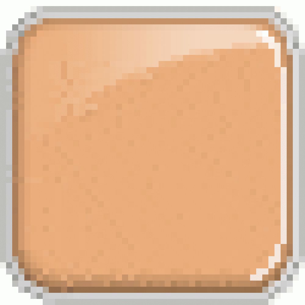 T.LeClerc Powdery Compact Foundation