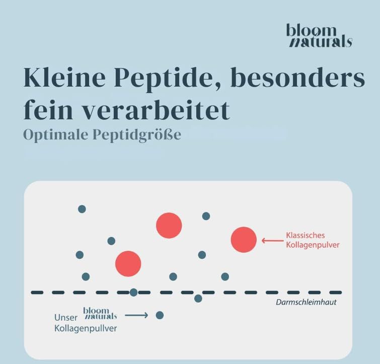 Grafik mit Partikeln. Text: Kleine Peptide, besonders fein verarbeitet. Optimale Peptidgröße. Pfeil: Unser Kollagenpulver. Rote Kreise: Klassisches Kollagenpulver. Dünndarmschleimhaut.
