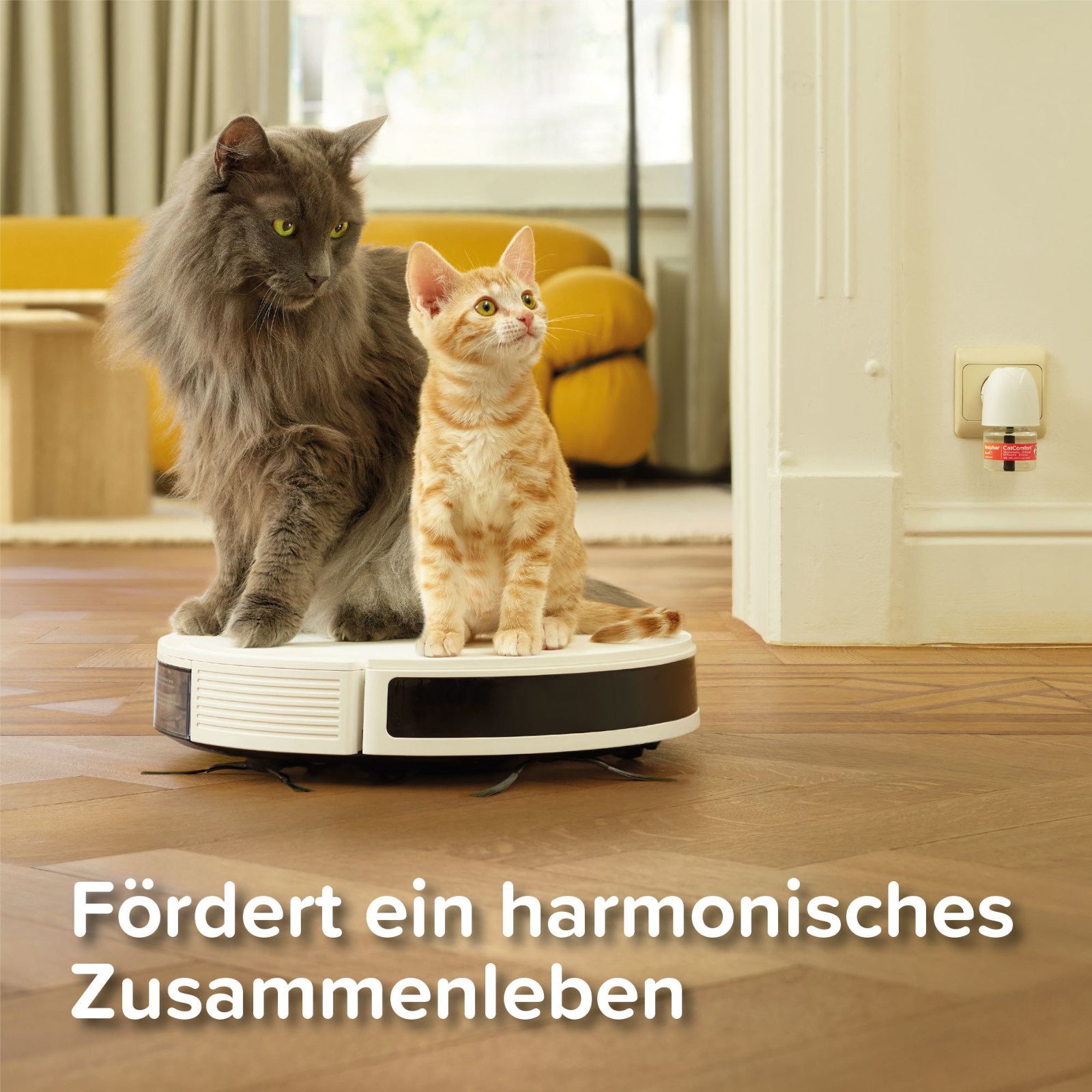 Zwei Katzen auf einem Roboter-Staubsauger. Im Hintergrund: Möbel und ein Verdampfer.