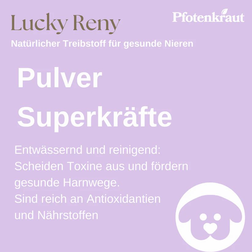 Pfotenkraut Nieren Kräuter  LUCKY RENY